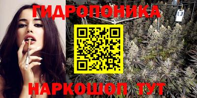 крисы Анапа