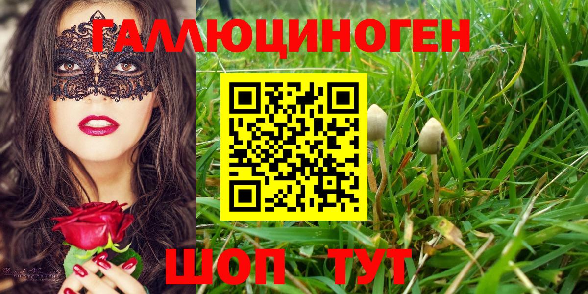 Галлюциногенные грибы ЛСД  Псилоцибиновые грибы Psilocybe  Вход с VPN  Ковров 